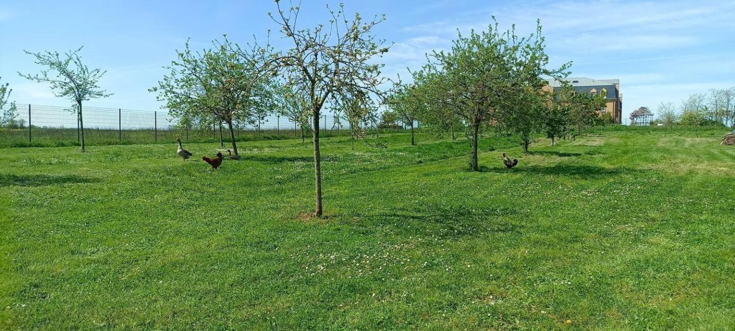 Le Domaine Du Chateau Varennes-les-Narcy Zewnętrze zdjęcie